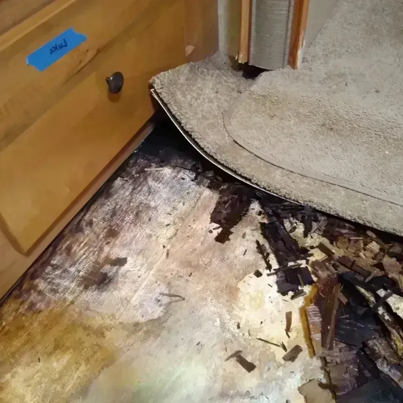 Wood Floor Water Damage in Wilson County, KS